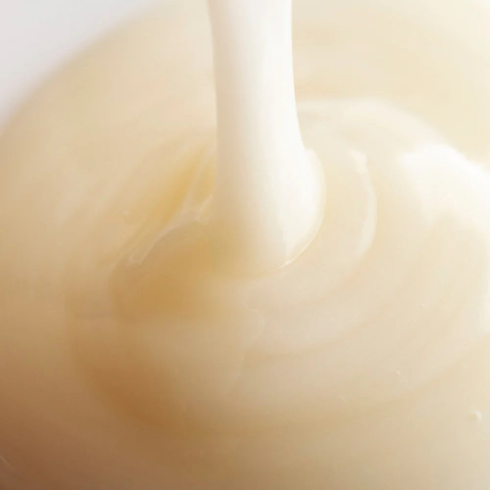 Harmony Cucumber + Kombucha Microbiome Balancing Cleanser