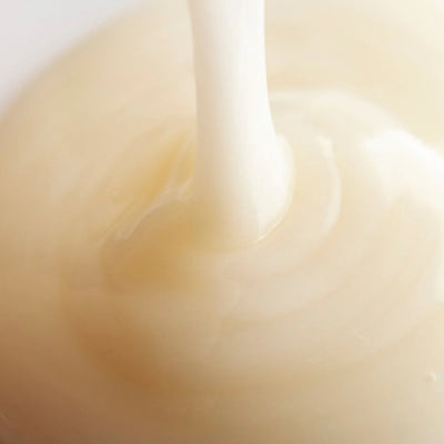 Harmony Cucumber + Kombucha Microbiome Balancing Cleanser